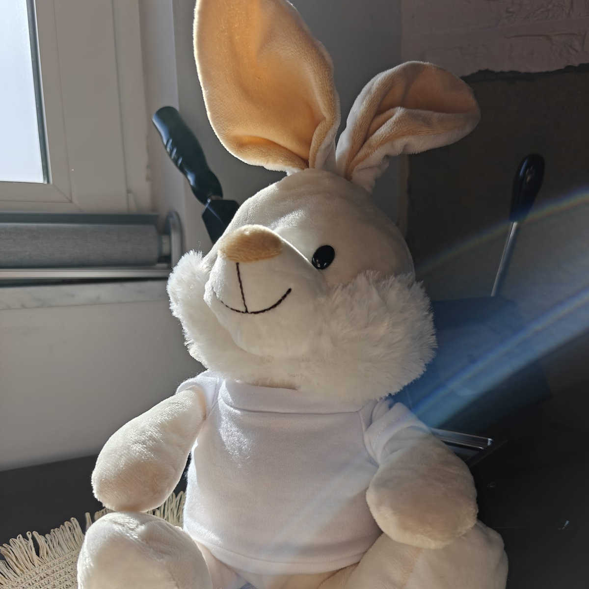 Gepersonaliseerd knuffelkonijntje met T-shirt