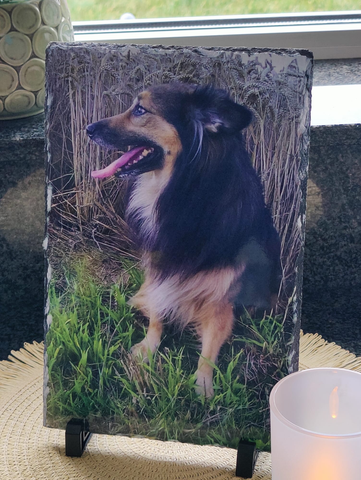 Leisteen met foto