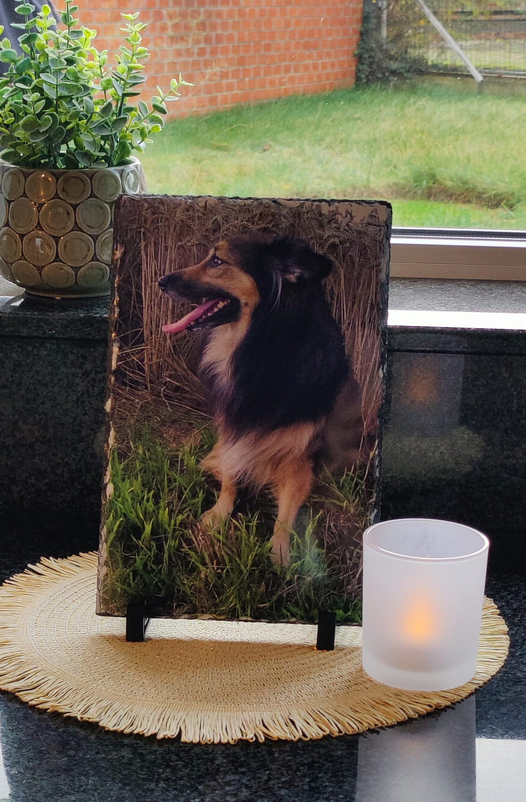 Leisteen met foto